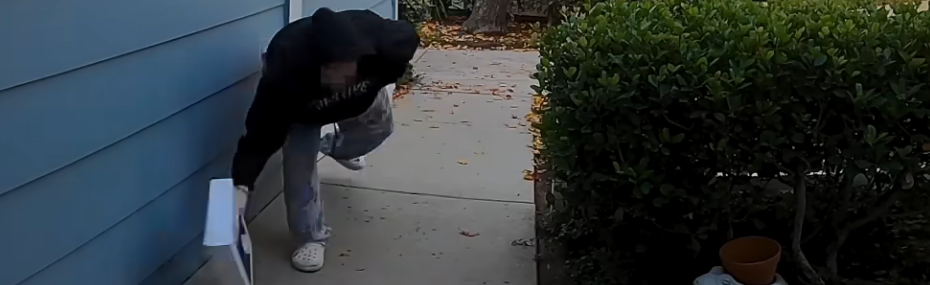 Package Thief Caught on Camera