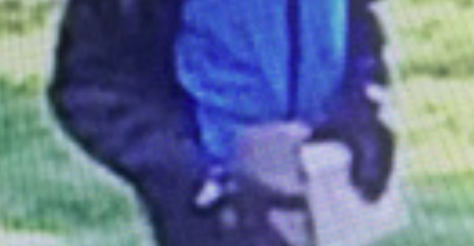 Richmond Police porch pirate suspect in blue vest